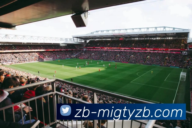 App Interface Preview